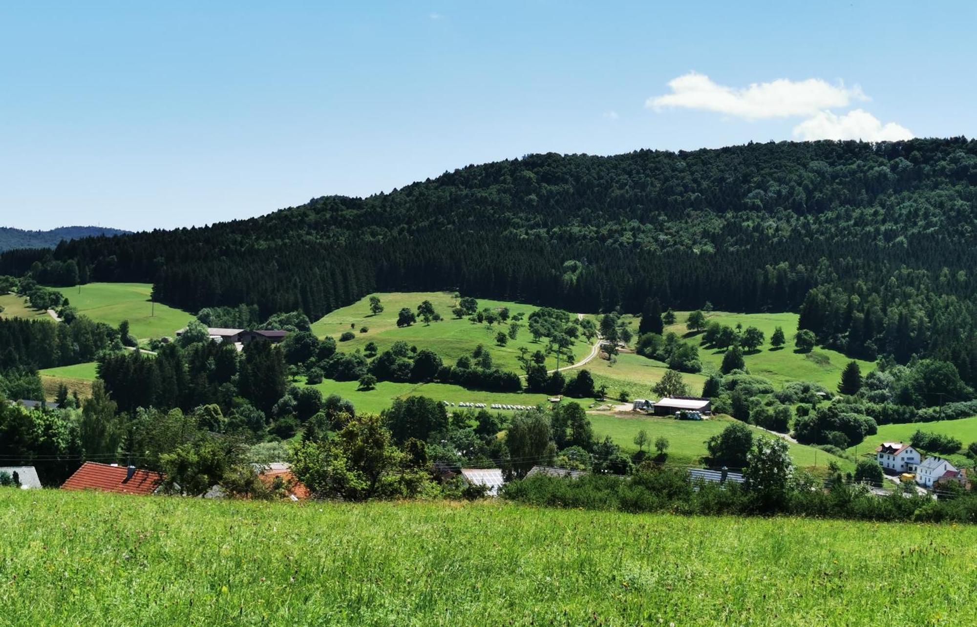 Ferienwohnung Blick Rappenstein Hausen am Tann 외부 사진